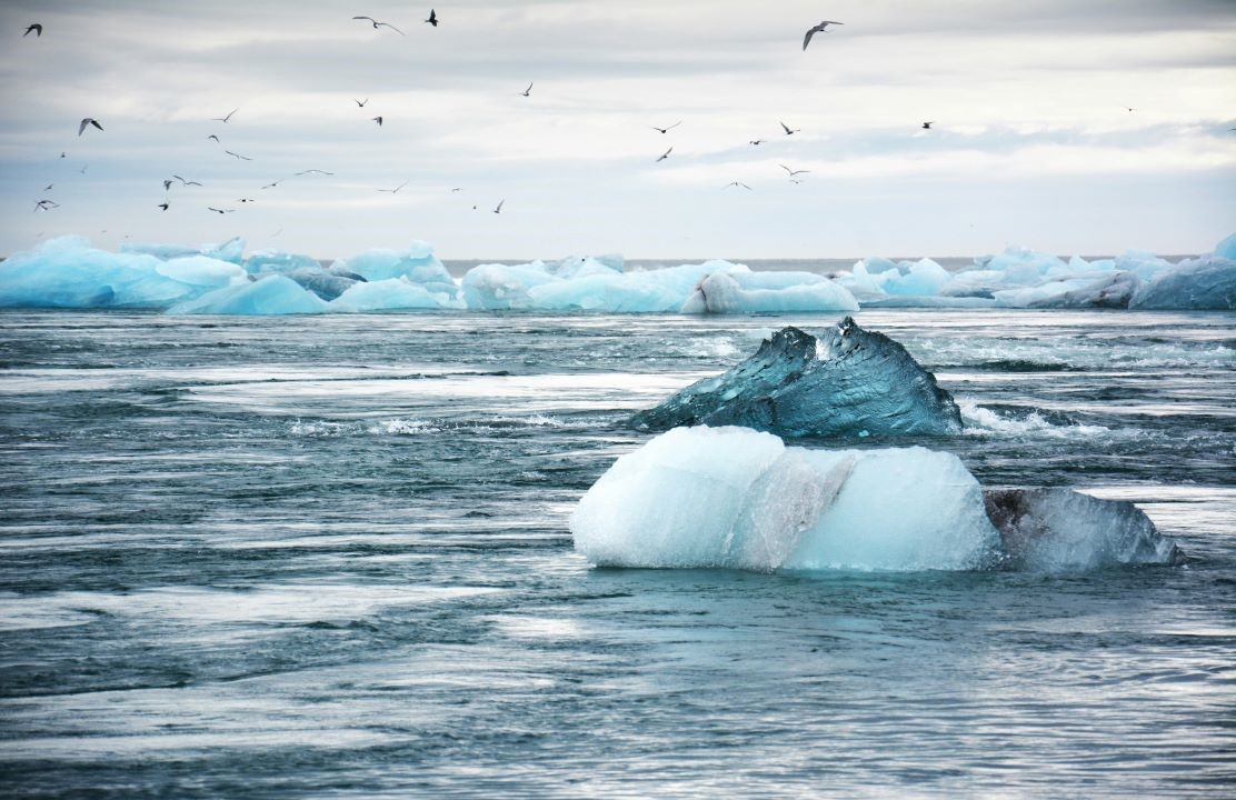 Iceland icebergs in water.jpg